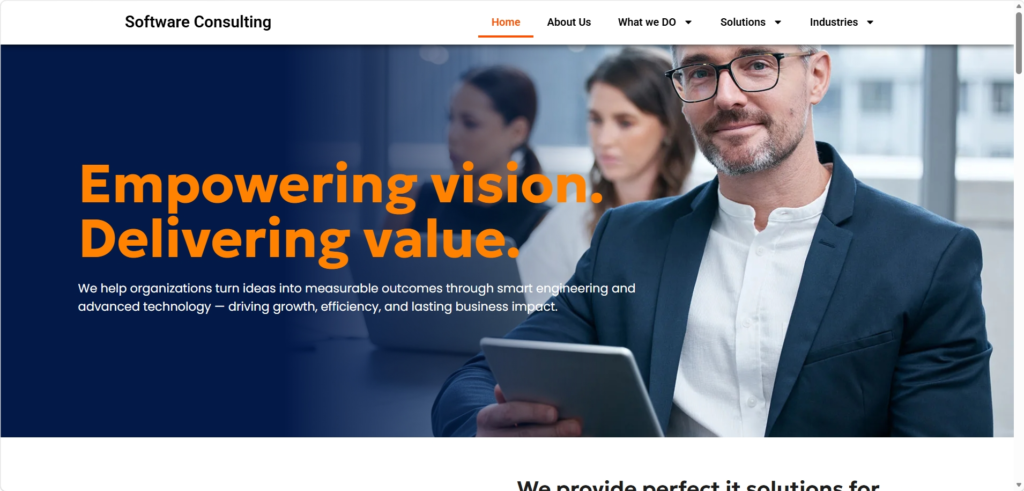 Softwareconsulting